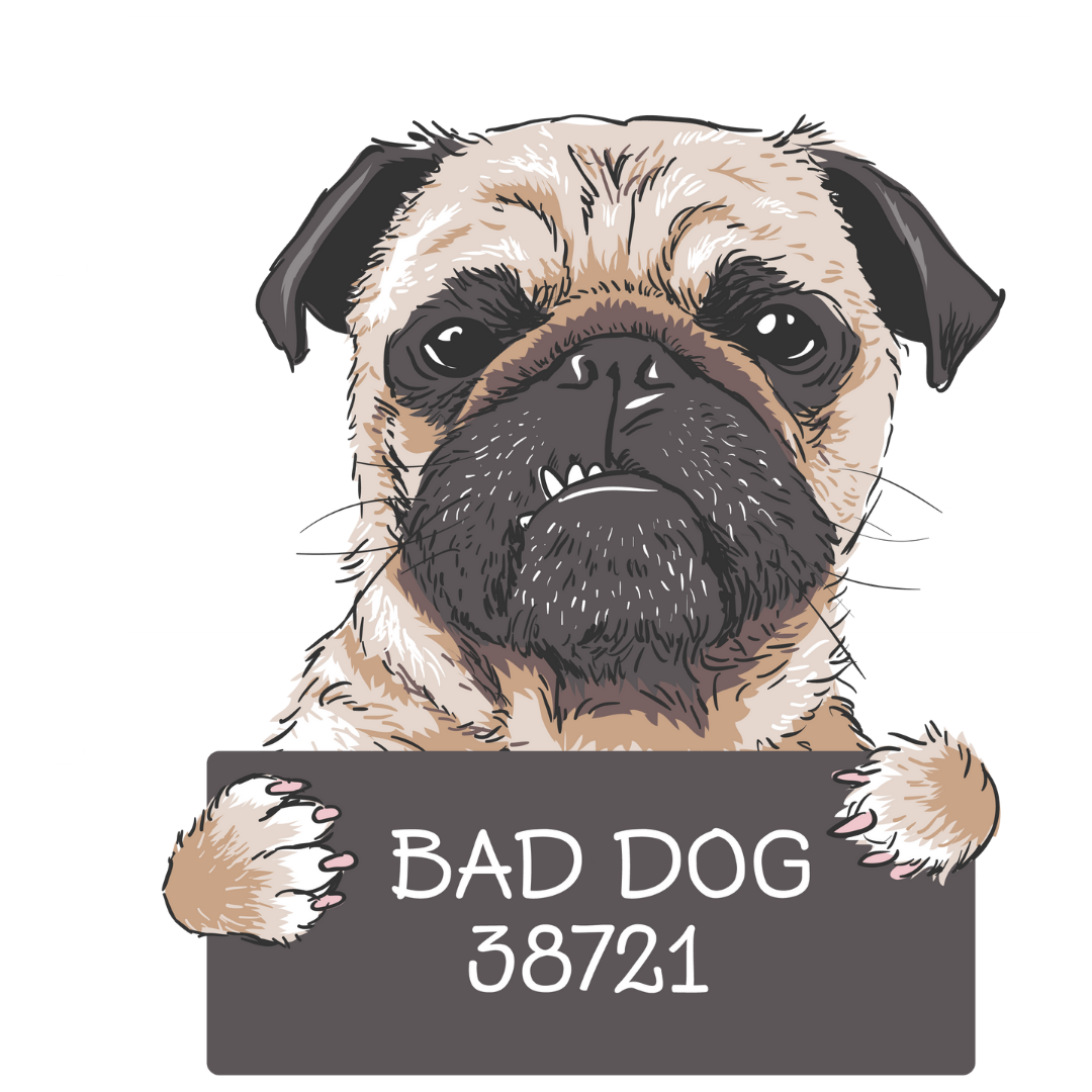 Bad Dog (Black)