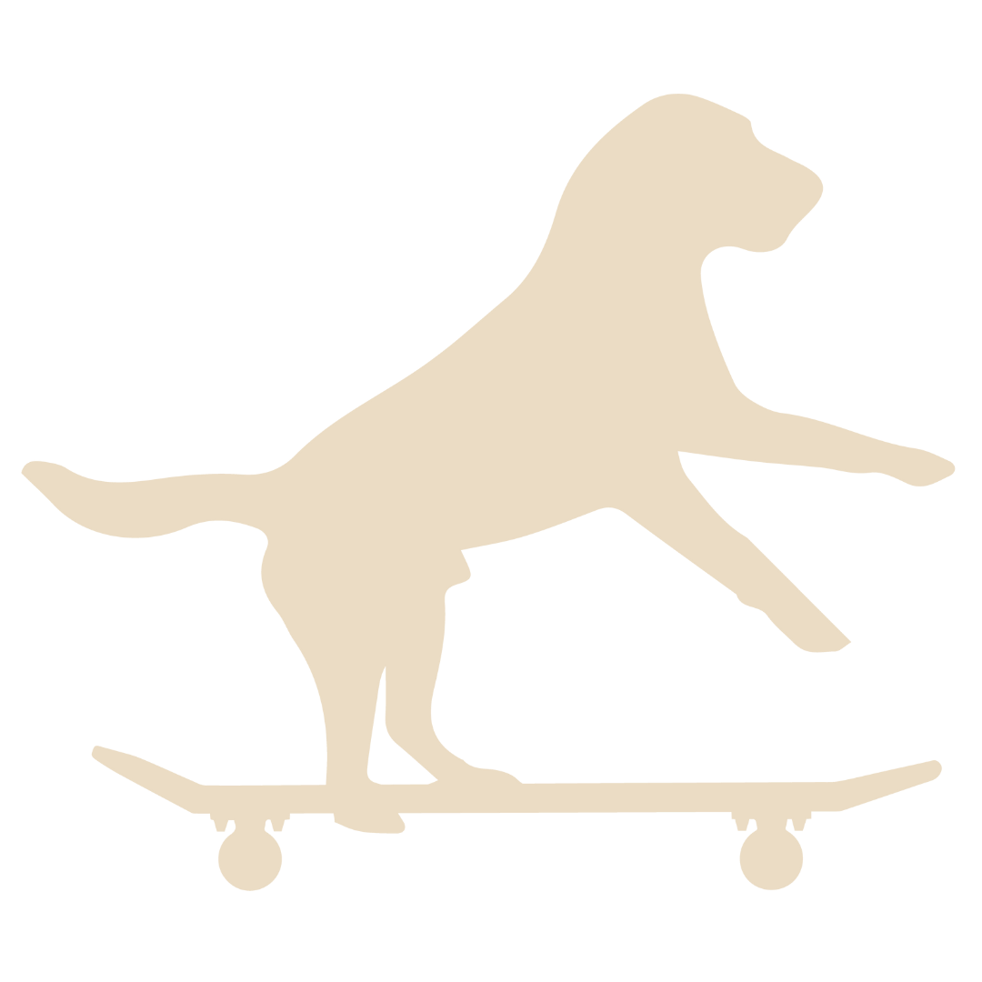 Dog Skate (Dusty Turquoise)