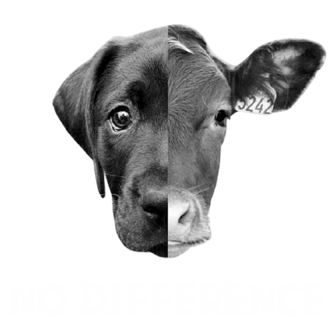 No Difference (Black)