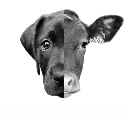 No Difference (Black)