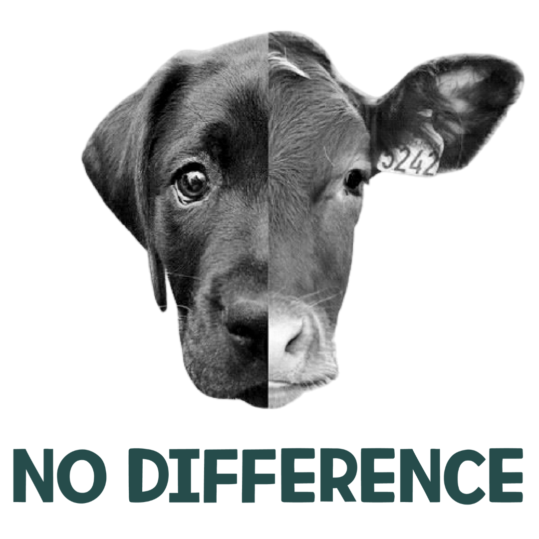 No Difference (Dusty Turquoise)