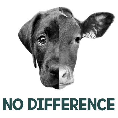 No Difference (Dusty Turquoise)