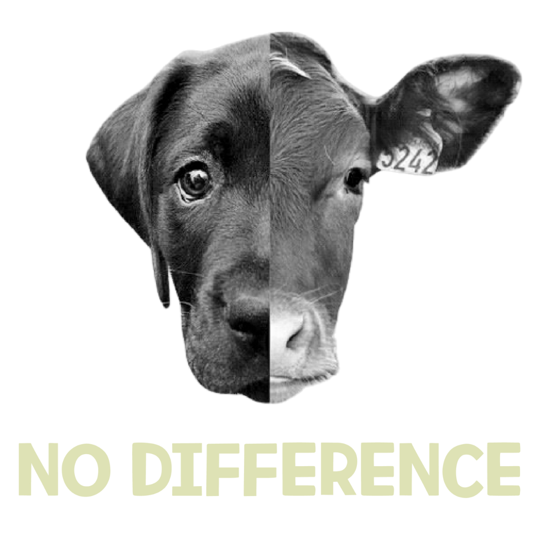 No Difference (Olive Green)