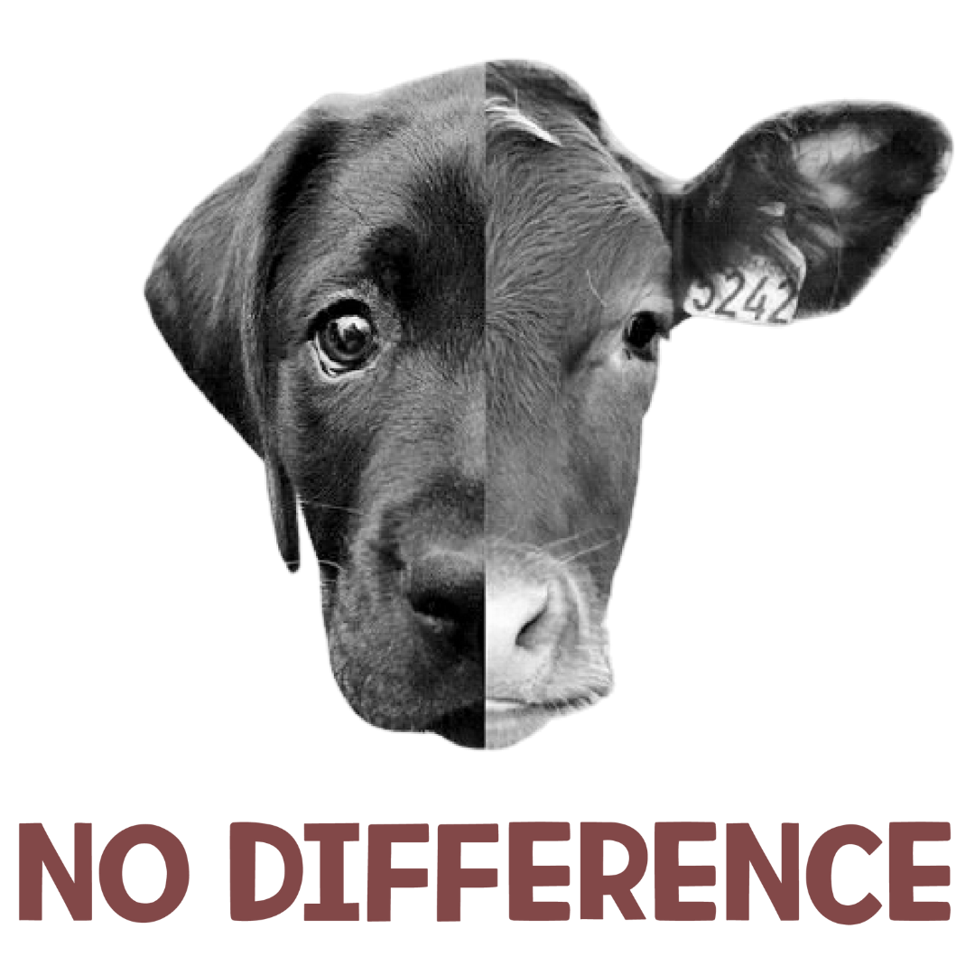 No Difference (Pastel Pink)