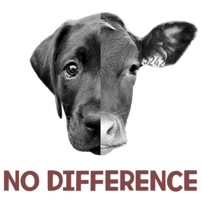No Difference (Pastel Pink)