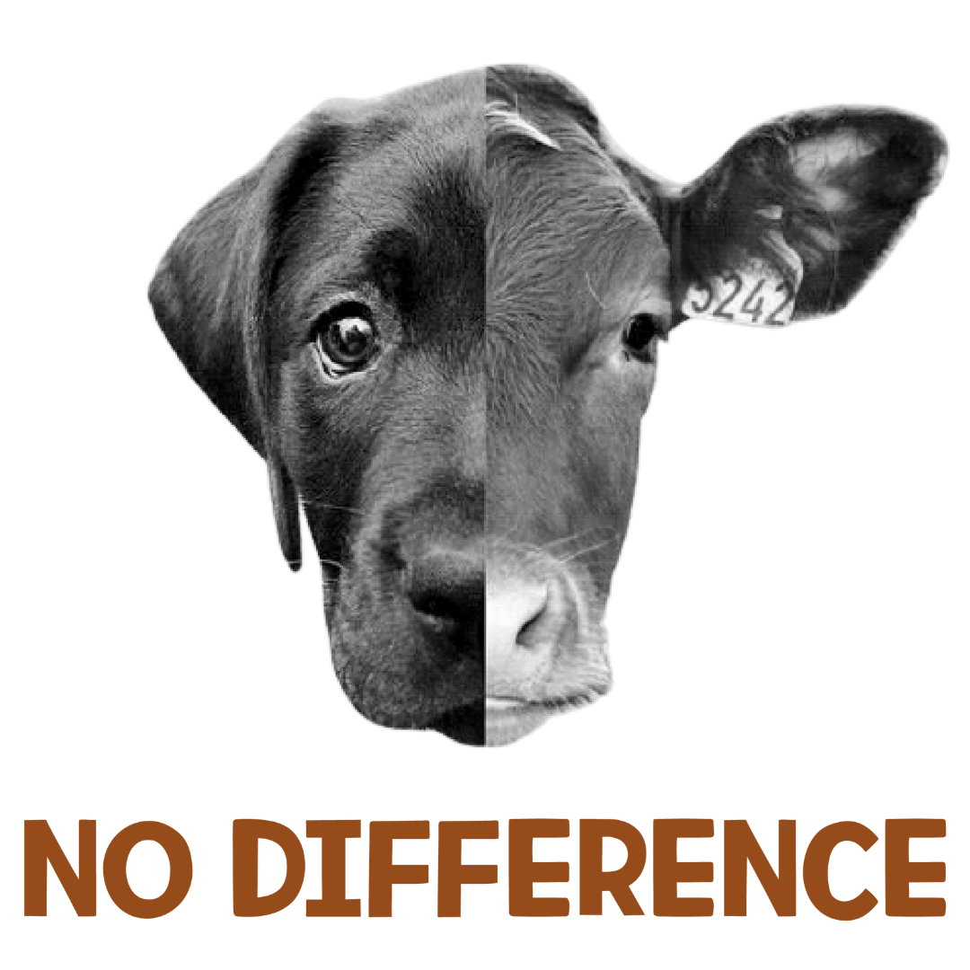 No Difference (Peach)