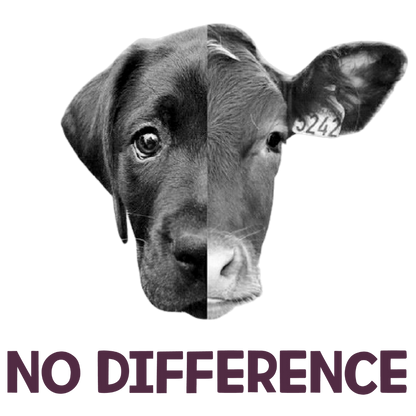 No Difference (Lavender)