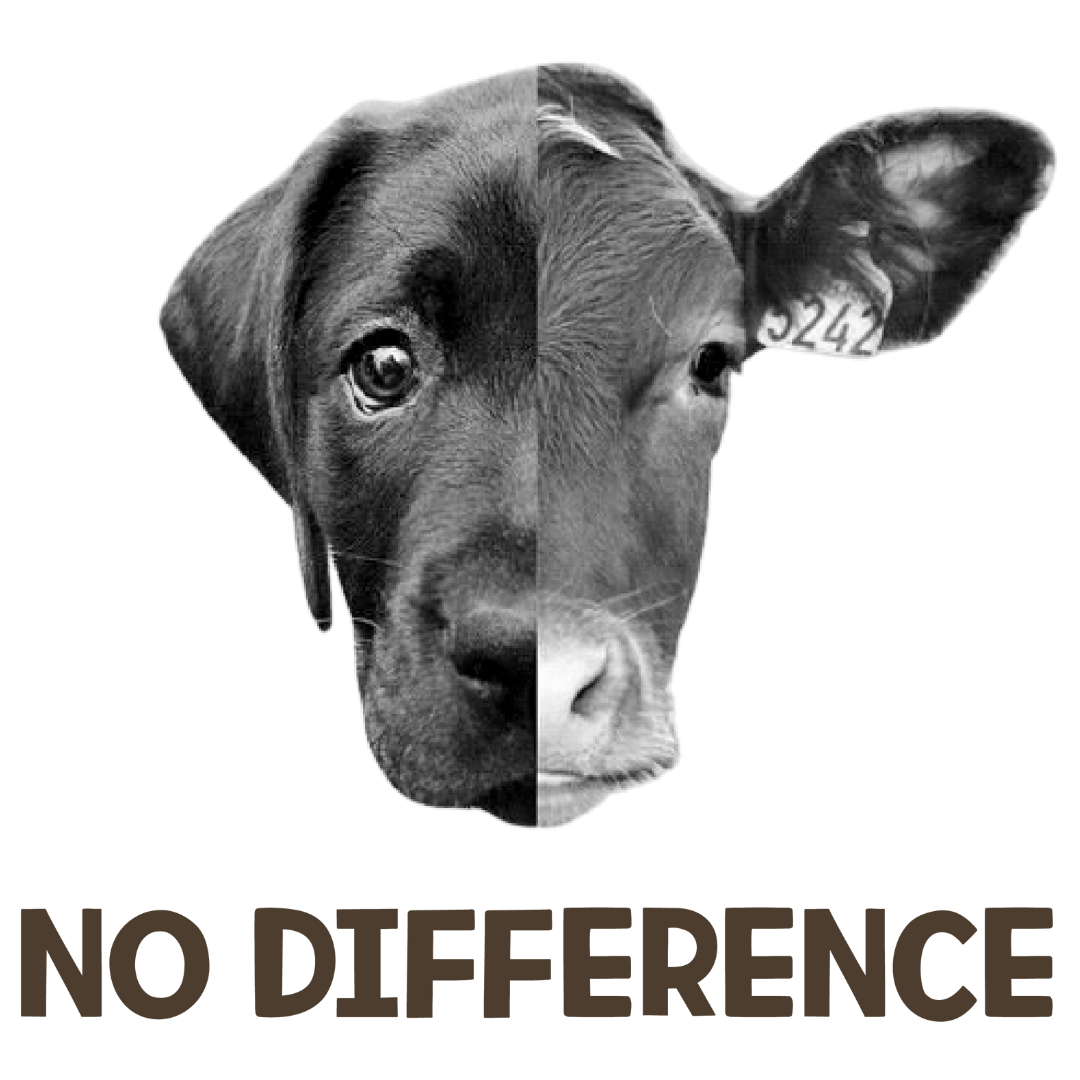 No Difference (Beige)