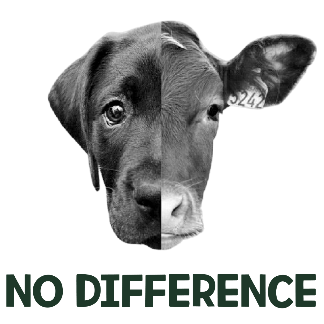 No Difference (Forest Green)