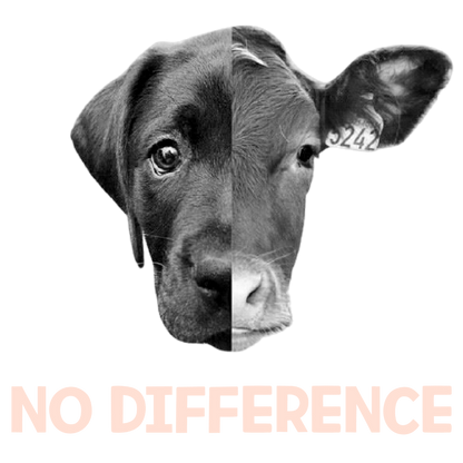 No Difference (Orange)