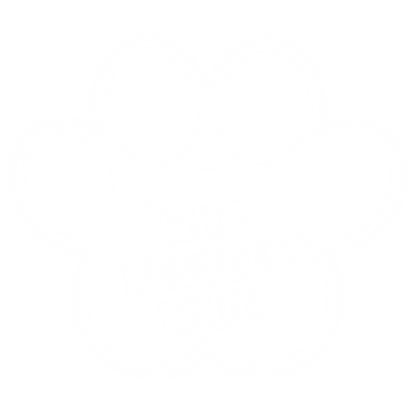 Who Rescued Who (Orange)
