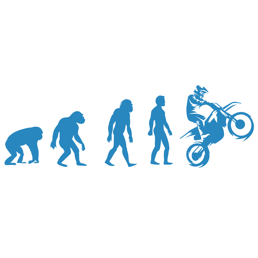 Evolution (White)